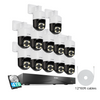 C296B 4K 16 Channel Pan-Tilt  Security System(32-Camera Capable) + 4TB Hard Drive